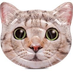 ŞİŞME ADA KEDİ